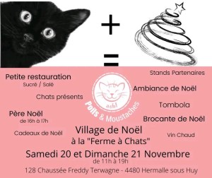 Village de Noel